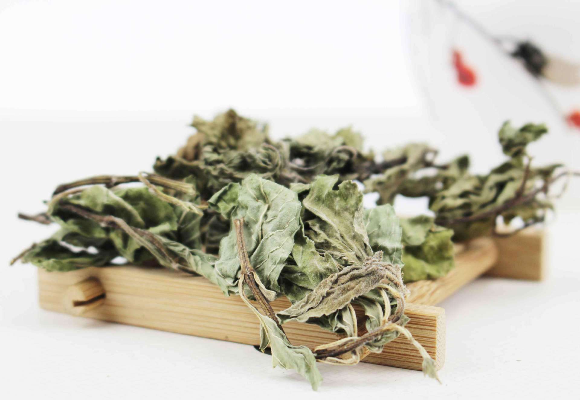 简明中医皮肤病学|大山里流行的“风疹方”!两味药,治荨麻疹随手就用,药廉效不廉