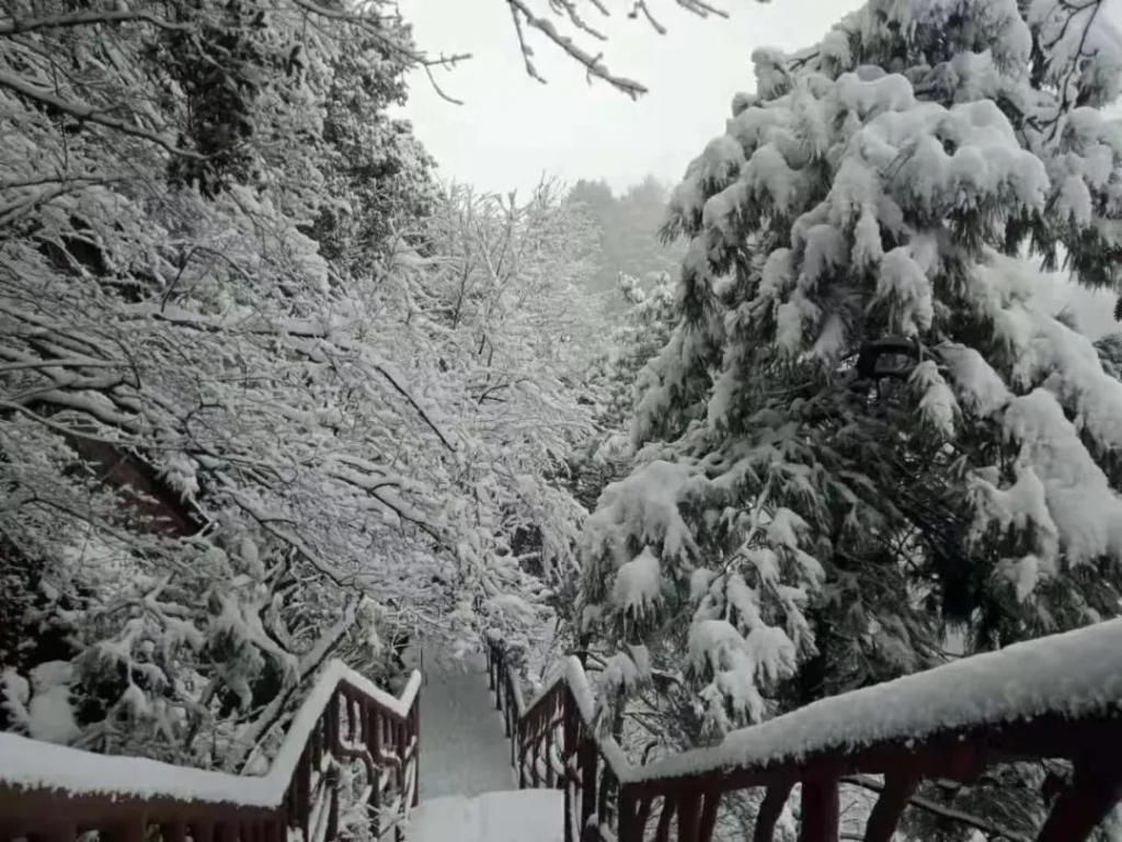 县区|初雪！周边县区雪景美图来袭！