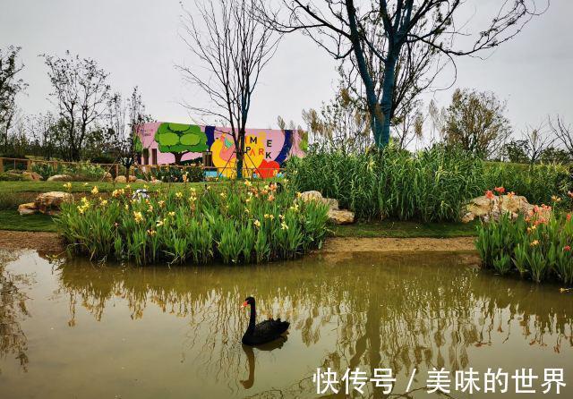 阜阳市|喜讯！阜阳这区“中奖了”，被征地项目选中，涉及土地约1000亩