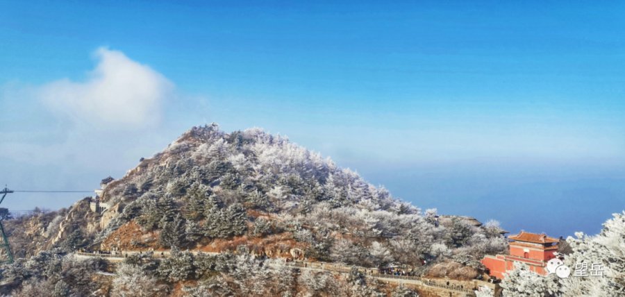 泰山|壹图集丨泰山之上，雕栏玉砌！大片雾凇蔓延岱顶宛如童话世界