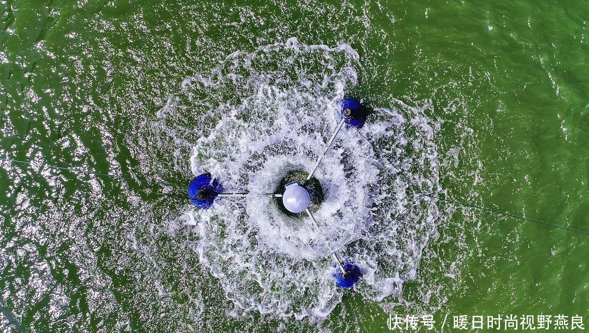 氧气|夏天垂钓!为什么要反其道而行之?老钓鱼人从来不说的钓鱼秘籍