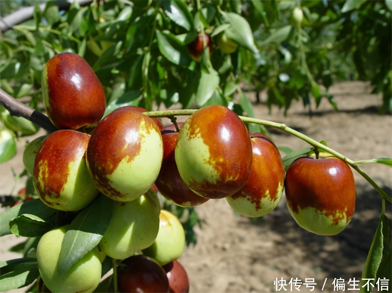 营养|女性到了中年,不妨多吃3种食物,补充营养