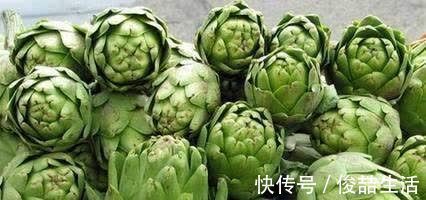 阳荷|奇怪的山野菜,就是去了山里也不一定认出来