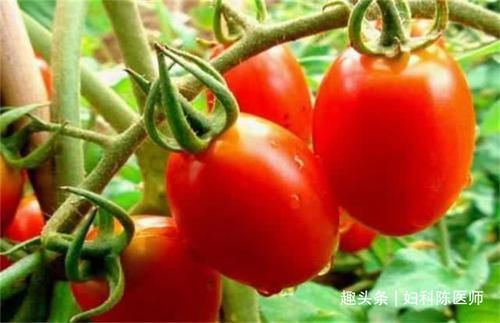 清热排毒|市场常见的3种食物,秋天常吃些,清热排毒,降压减脂,好吃不贵