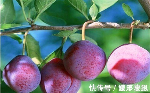 子宫早衰|女性不愿长满皱纹，冬天常吃4种食物，美容养颜，预防子宫早衰