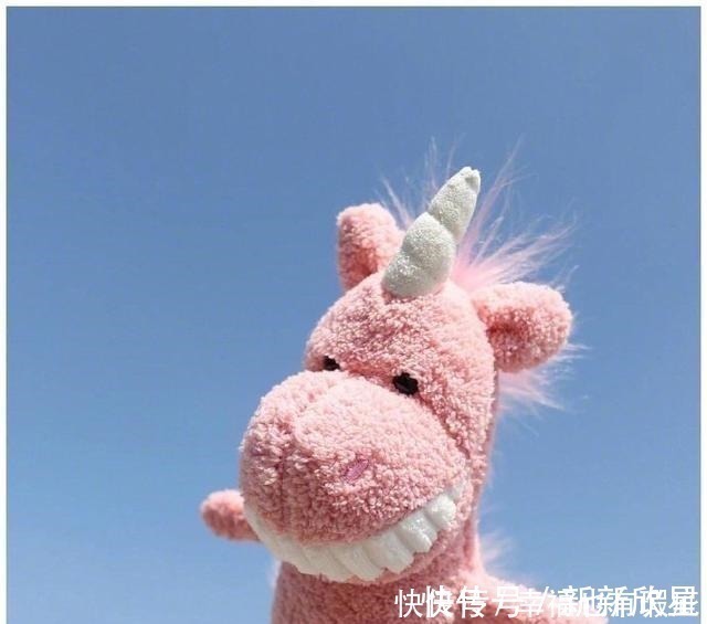 |刷屏的经典搞笑句子,诙谐逗趣,笑到满地找牙!