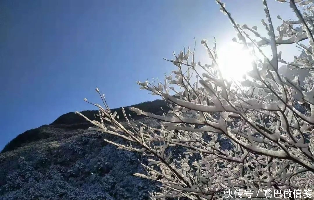 雪后初晴，与阳光相拥，武陵山的雪颜值巅峰！