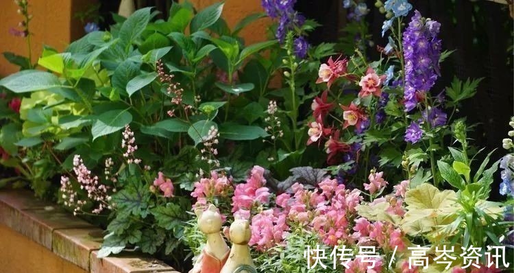 小区|坐拥270㎡大院子,她如何用五年时间,打造成了全小区最美的花园