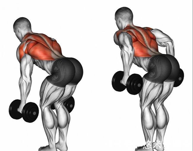 倒三角|背部肌肉的训练方法，3个部位8个动作，帮你打造完美倒三角身材