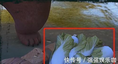 赵琳|熊出没:最明显的4个穿帮镜头,看到后我都羞愧,网友:侮辱智商