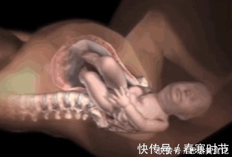 宝宝|生孩子到底有多痛?10张图告诉你:宝宝如何一步步来到这个世界