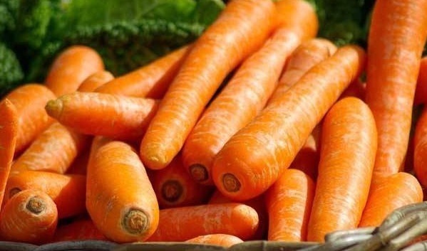 禁忌|胡萝卜多吃身体好,却不知4个禁忌,尤其第三个天天有人做错!