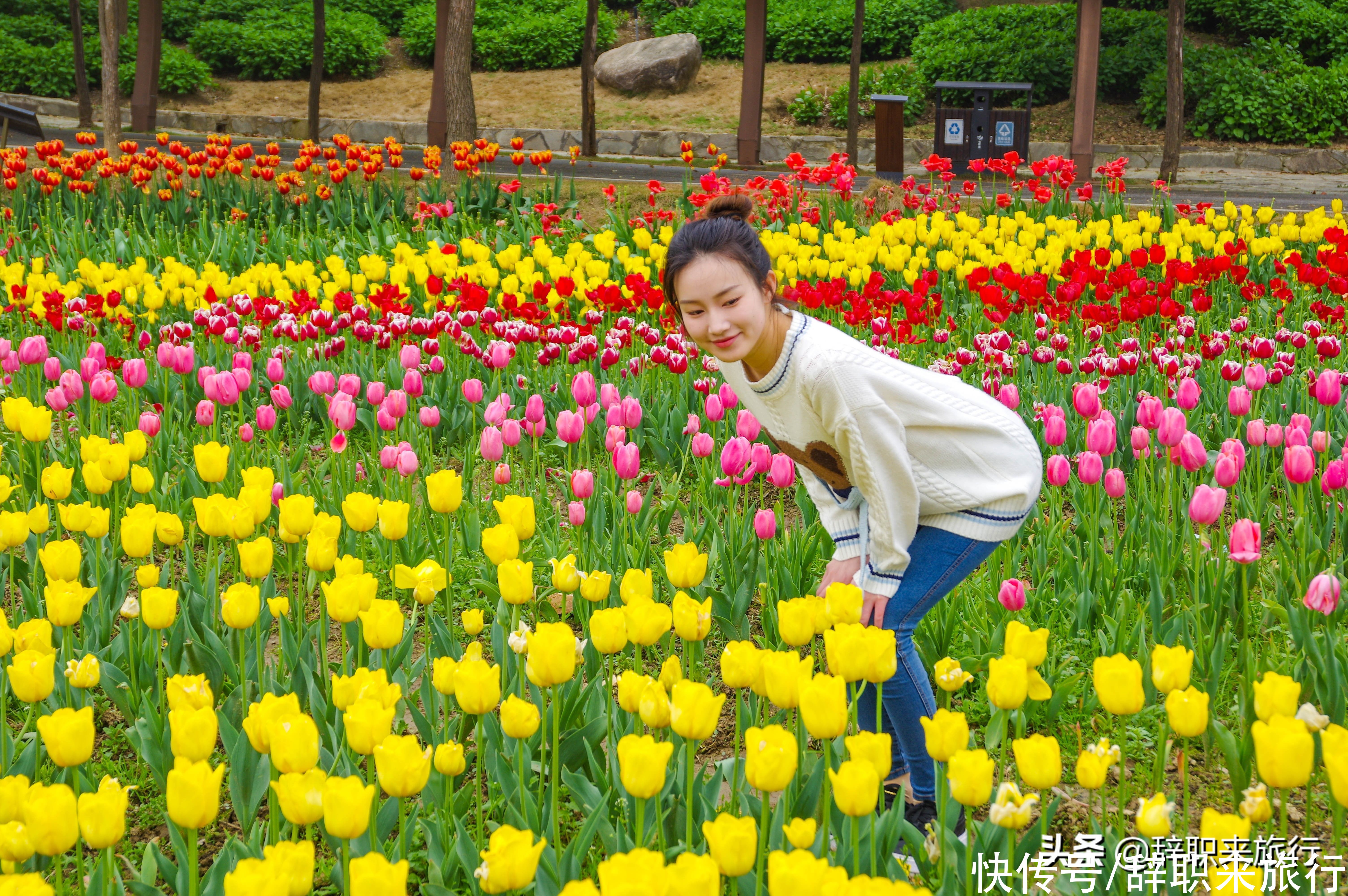 五一武汉最具性价比的旅游地，人少景美，花海绚烂，错过就是遗憾