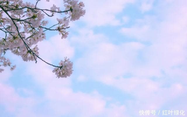 人生三碗面,你拥有哪一碗?