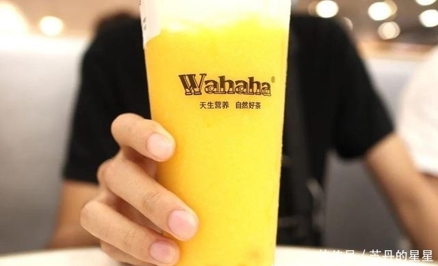奶茶|我们笑着去了娃哈哈奶茶店,最后哭着回来了…