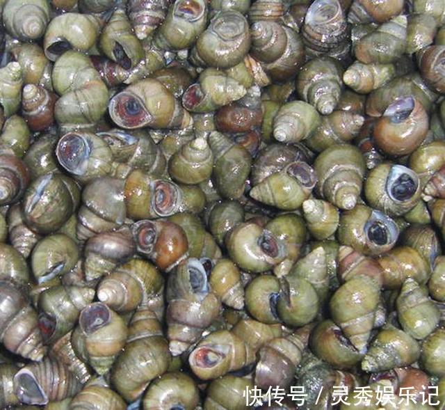 大排档|回老家,老公请同学来家吃夜宵,我做了6个下酒菜,3箱啤酒喝精光