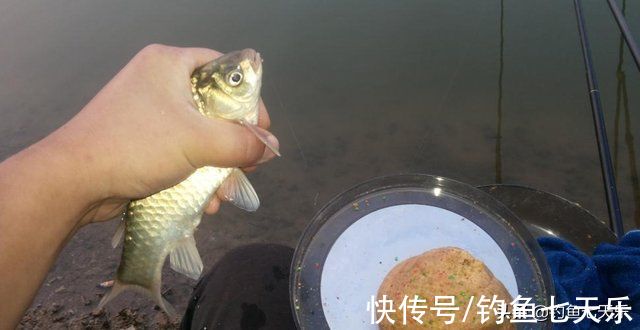 冬季钓不到鱼？分享6个冬季钓鲫鱼的垂钓技巧