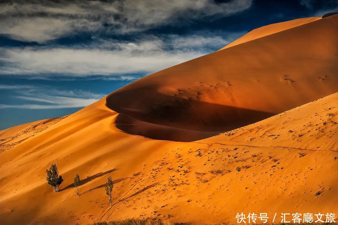 樟子松|这个夏天，我劝你一定要去一次内蒙古 ！