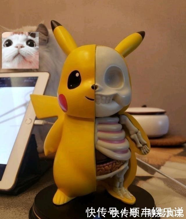 父母|宅男收藏“另类手办”家人看不惯扬言要砸掉,结局太真实