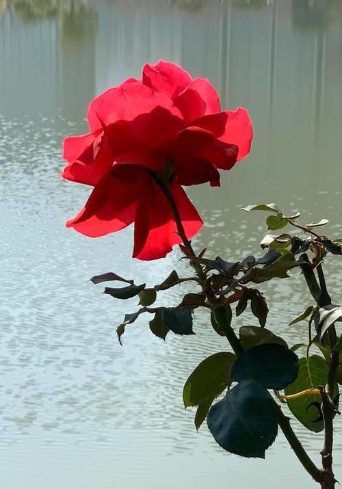 老年|喧嚣过后，一切归于平静