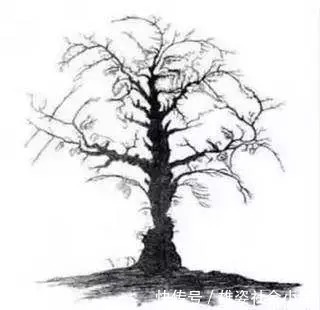 神经突触|最近爆火的老年痴呆测试图,花一分钟来测一测,不花钱买个放心