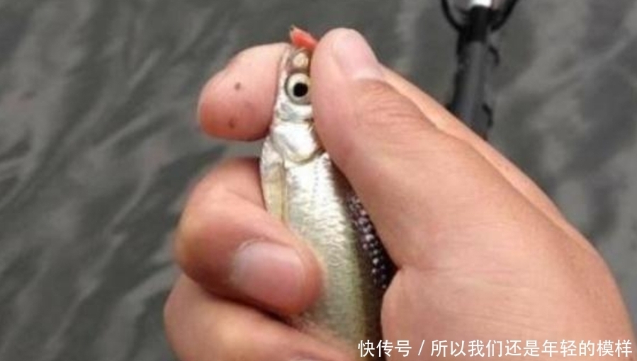 冬钓太难,鱼情总是不尽人意?那是你不懂这调钓精髓,别不信