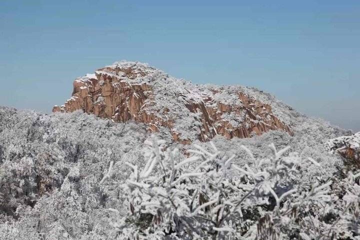 仙境|小雪之后的沂山峰顶仿佛人间仙境