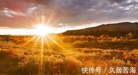 草字&一首描写秋草的七律,全文不见一个草字,却句句赞美其高洁品质