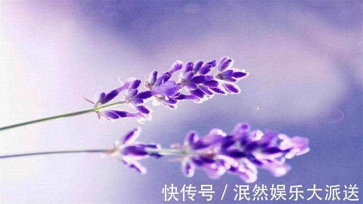 人生$写好一个“人”,只需两笔;做好一个人,却要一生