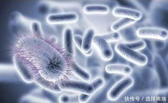 错误|内裤清洗“大有讲究”,4种错误洗涤方法有损健康,你却还在犯