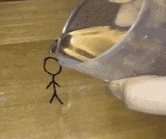 |搞笑GIF:铲屎的赶紧把我放了,否则我拆了你的后备箱