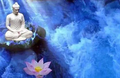 天花&原来这三个意境无比美丽的成语来自佛教,看完心境都美了