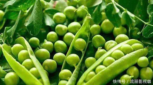 营养物质|女性不想显老,3种食物换着吃,美容护肤,淡斑抗皱,肌肤细腻