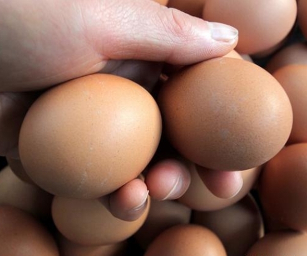 豆浆|早上吃鸡蛋也能中毒鸡蛋的四个“禁忌”,老人和孩子要当心!