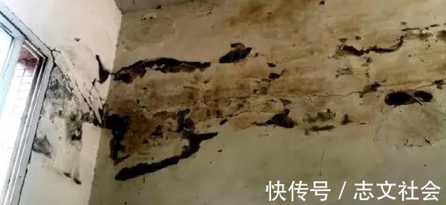 买卖关系|男子买套房,装修公司一看直接吓跑,开发商房子没倒,不要找我