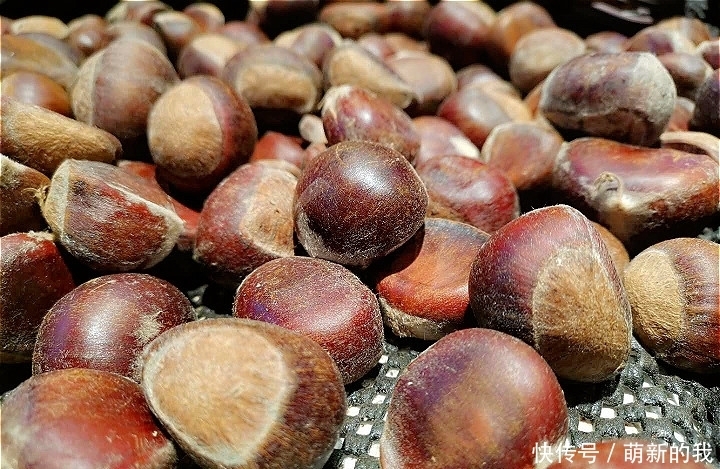 到底|买板栗时,到底选扁的还是圆的?老农这样说,原来这么多人选错了