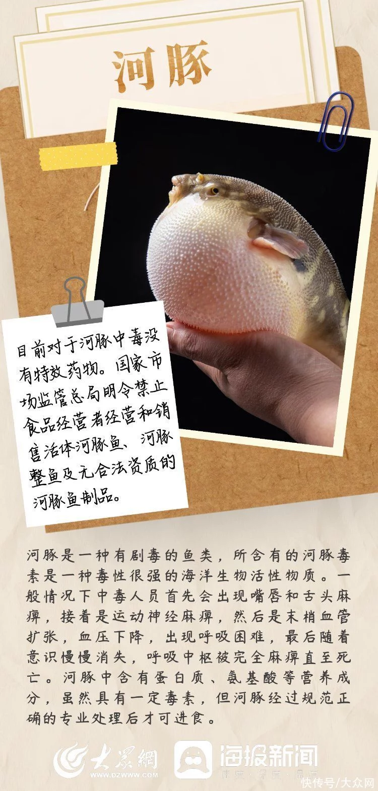 “毒食刺客”退退退！除了蓝环章鱼，这些日常食物也容易引起中毒插图4