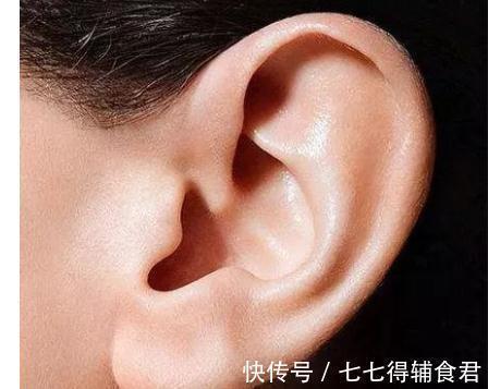 艾灸|耳朵,人体自带养生丹!每天10分钟,通畅气血,治病、养生又延寿