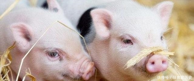 这个皇帝下了一道奇葩命令,竟然连祖先都得罪了,一年后驾鹤西去