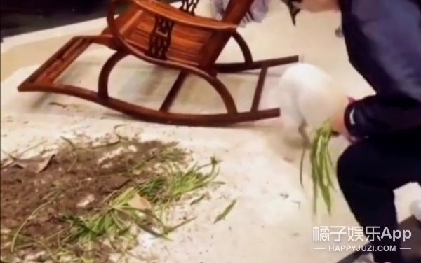 它逃，他追，它…跑的更飛？