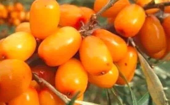 排毒养颜|想长寿全靠吃,3种水果离不开,排毒养颜、有益健康,早吃早受益