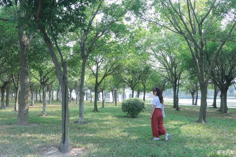 村里|古村里的顺德味