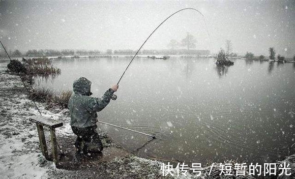 冬季钓鲫鱼,天气不同鱼群位置不同,根据天气找鱼窝,渔获有保证