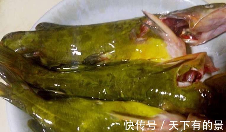 腥味|“黄辣丁”下锅前，很多人没有做这一步，难怪做的腥味很重