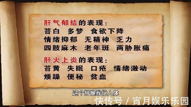 葛根|身边的“天然解毒王”！每天吃一点，健脾祛湿、给肝脏洗洗澡