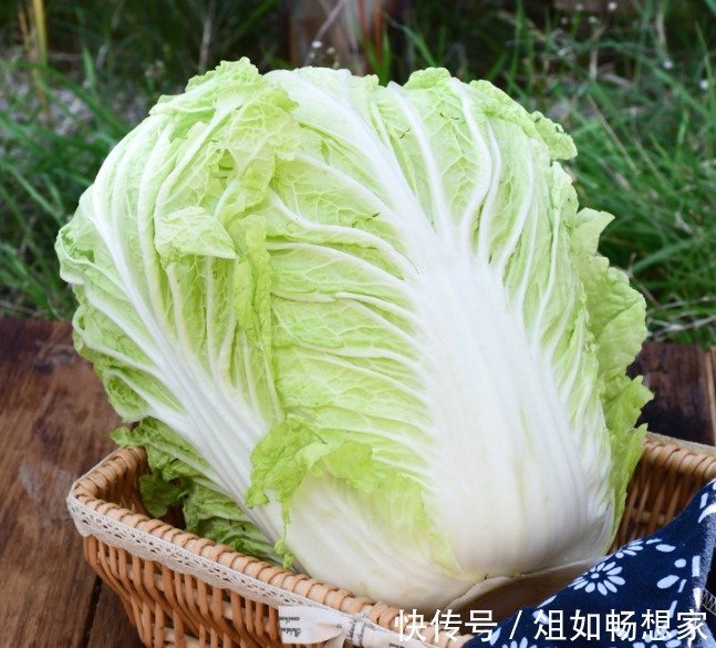 菜市场|买白菜时，选绿的还是白的好老菜农不小心说漏嘴，别再买错了