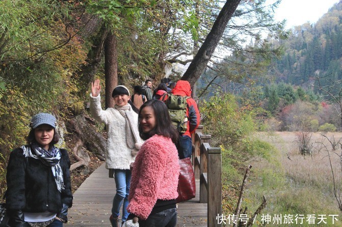 看网友旅游交流，四川旅游6天路线推荐，当地评价好的优秀导游，四川成都旅游景点攻略