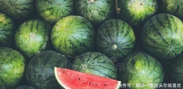 西瓜|挑西瓜时,别再拍来拍去了,教你简单3招,西瓜皮薄汁多还很甜