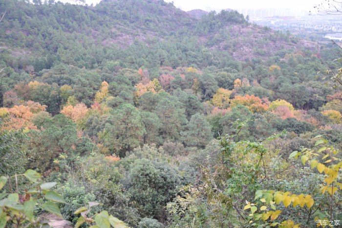 天平山|【喜迎国庆】停车坐爱枫林晚，霜叶红于二月花。游天平山赏枫叶