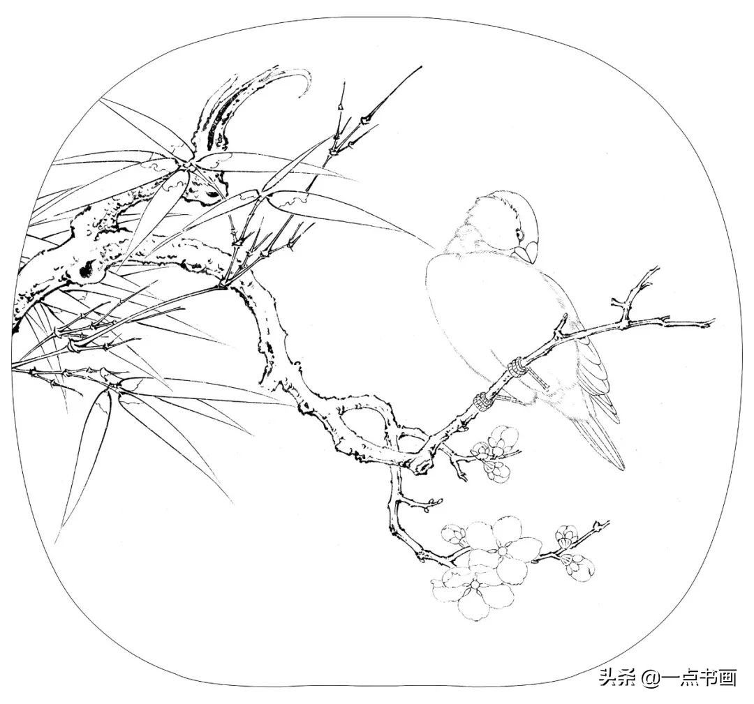 竹叶$《临宋梅竹寒禽图》工笔绘制示范